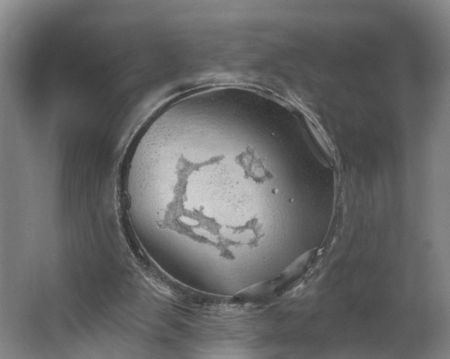 X0000062910103200601271750