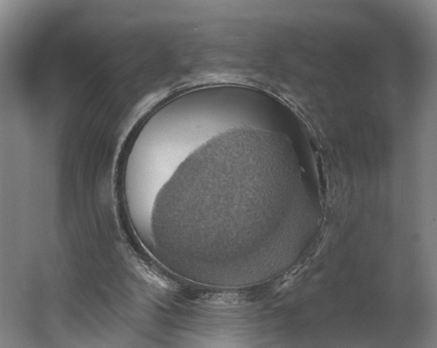 X0000062910104200601271750