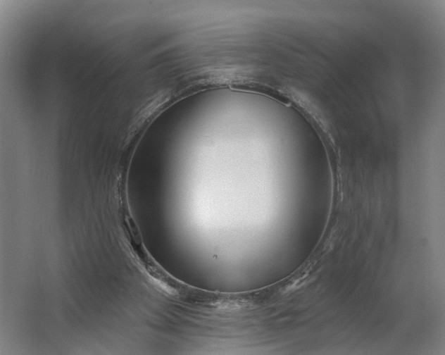 X0000062910105200601271750