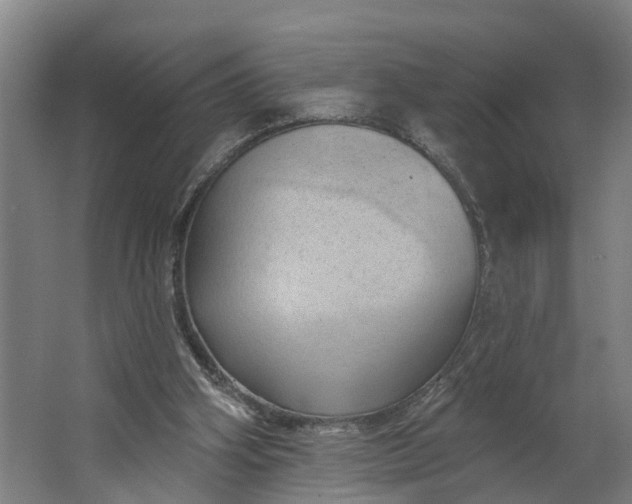 X0000062910106200601271750