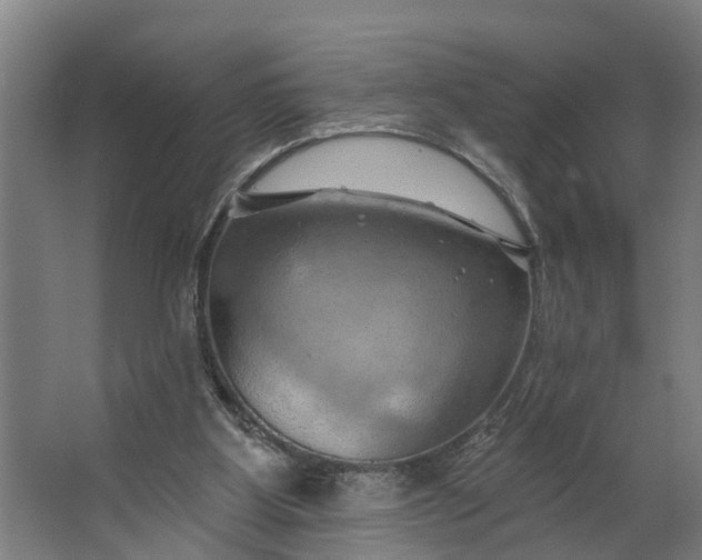 X0000062910107200601271750