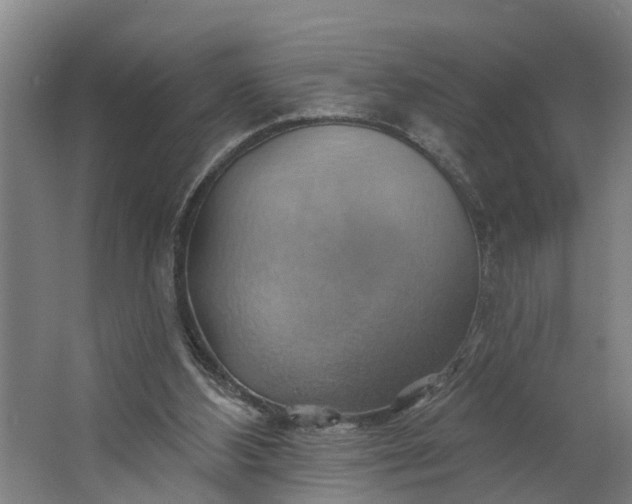 X0000062910108200601271750