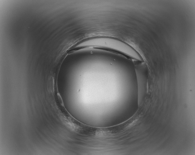 X0000062910109200601271750