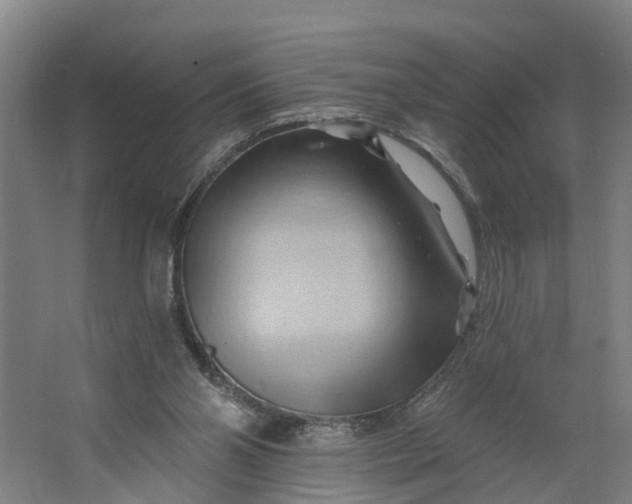 X0000062910110200601271749