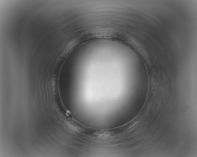 X0000062910113200601271749