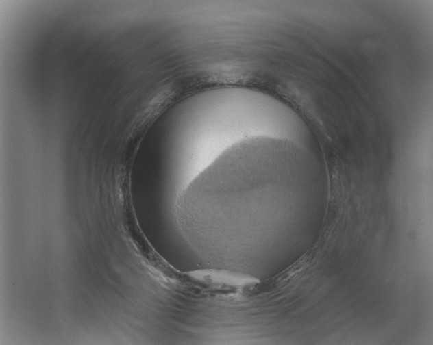 X0000062910114200601271749