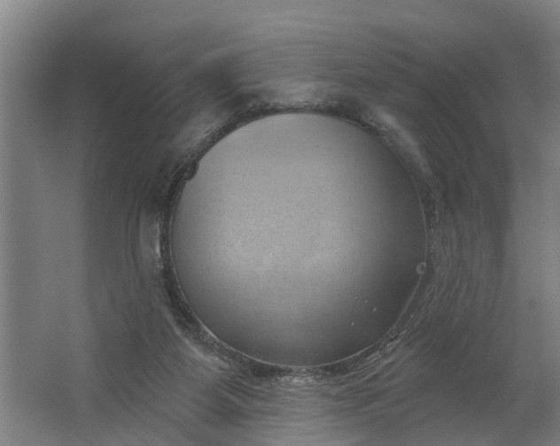 X0000062910115200601271749