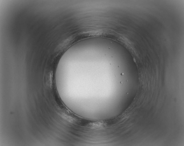 X0000062910118200601271749