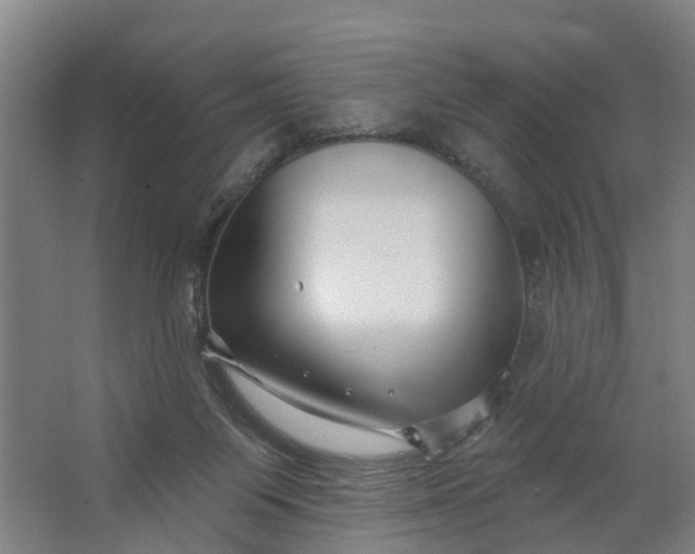 X0000062910119200601271749