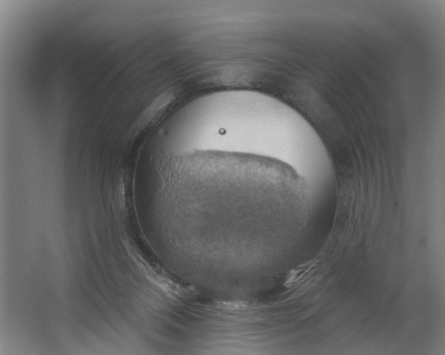 X0000062910120200601271749