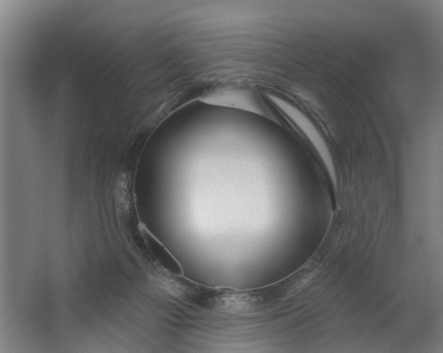 X0000062910121200601271749