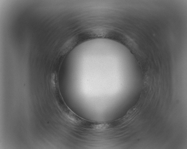 X0000062910122200601271749