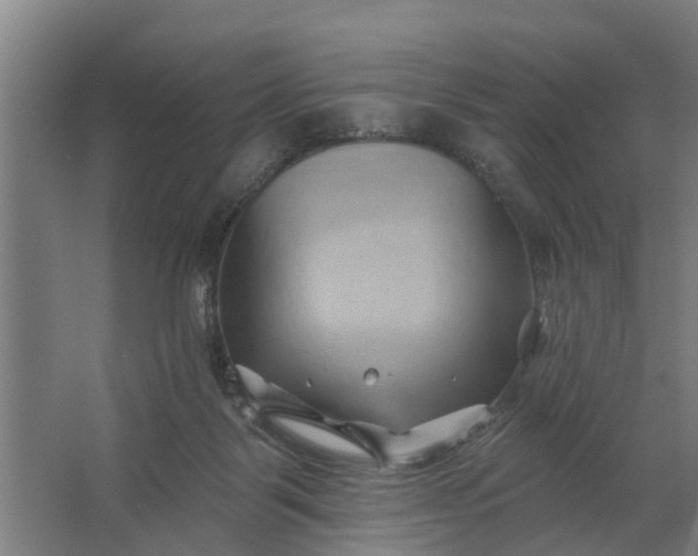 X0000062910123200601271749