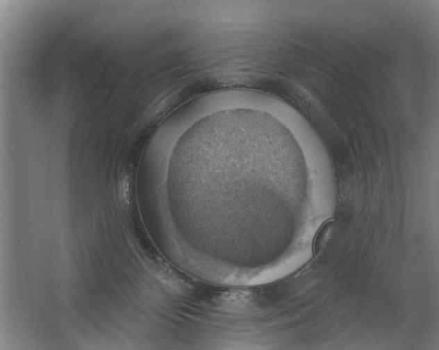 X0000062910124200601271749