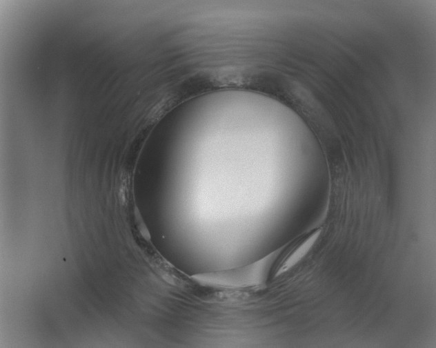 X0000062910125200601271749