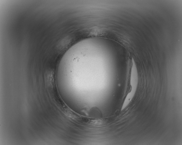 X0000062910127200601271749