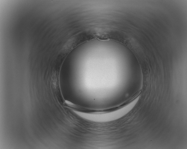 X0000062910129200601271749