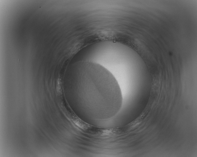 X0000062910130200601271749