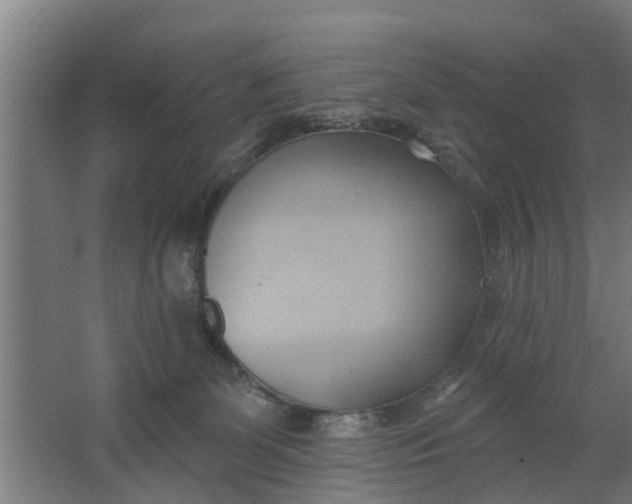 X0000062910131200601271749