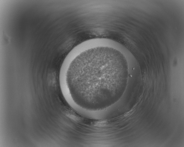 X0000062910132200601271749