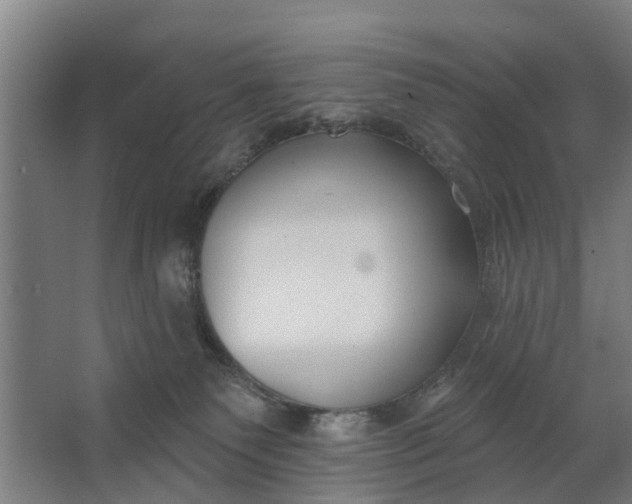 X0000062910135200601271749