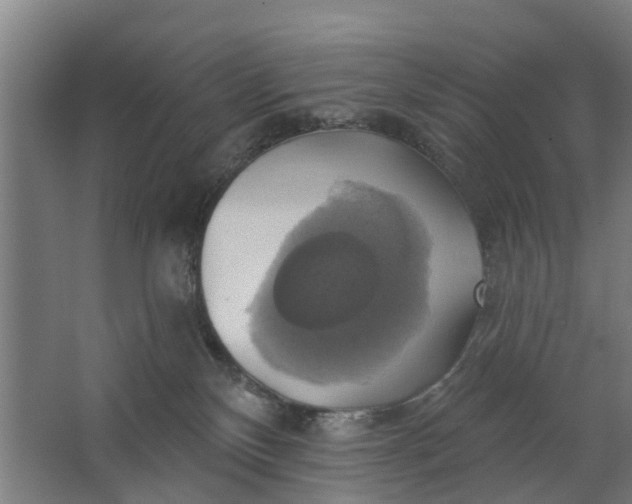 X0000062910136200601271749