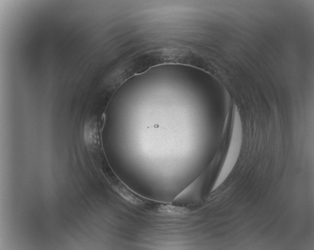 X0000062910137200601271749