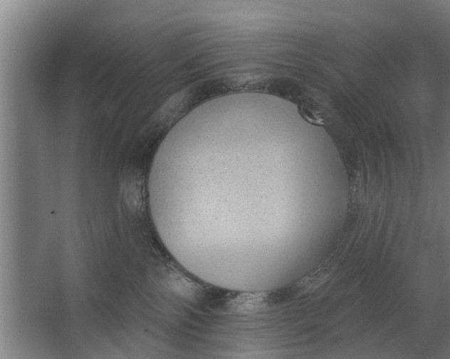 X0000062910138200601271749