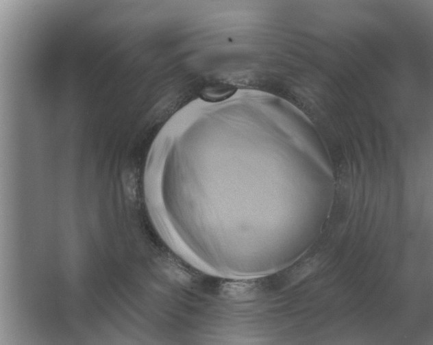 X0000062910139200601271749