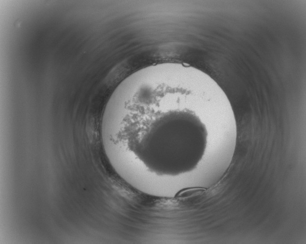 X0000062910140200601271749