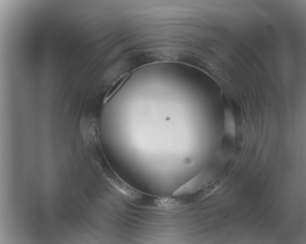 X0000062910141200601271749