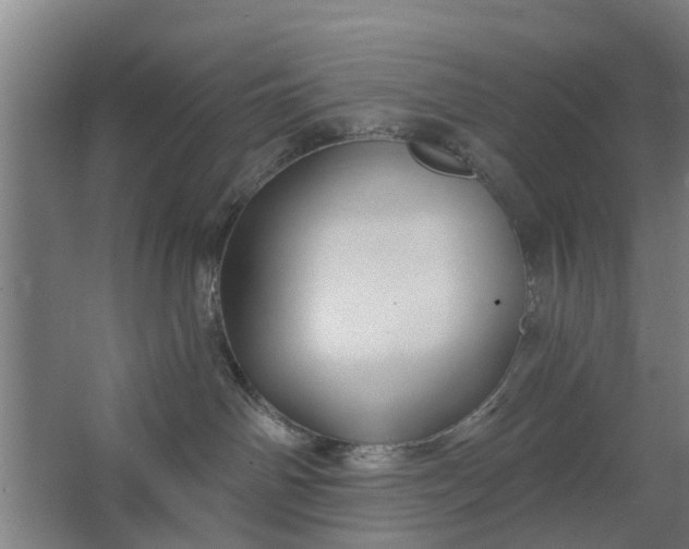 X0000062910142200601271749