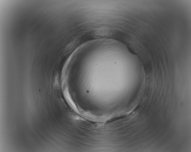 X0000062910143200601271749