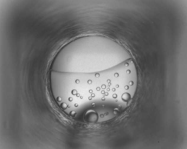 X0000062910145200601271748