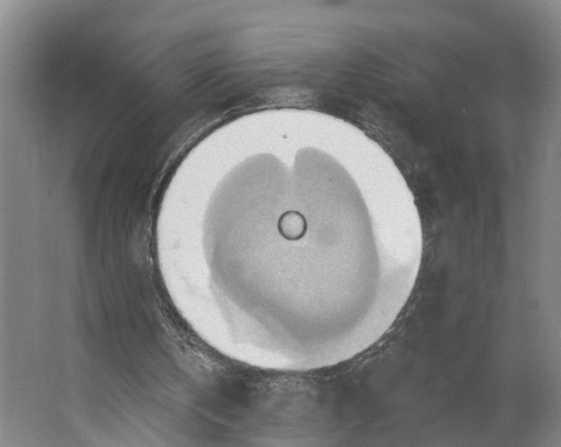 X0000062910146200601271748