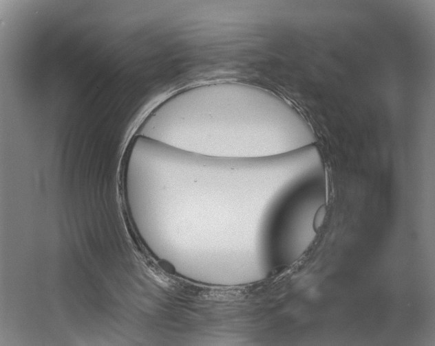 X0000062910147200601271748