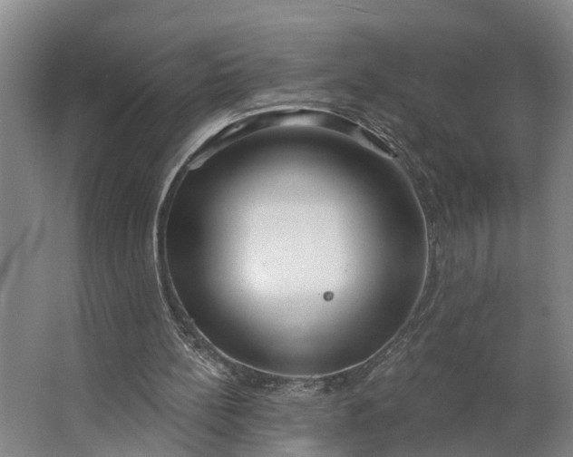 X0000062910148200601271748