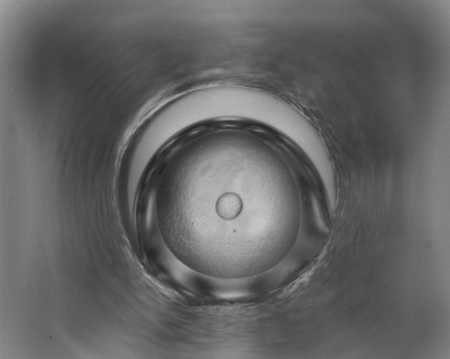 X0000062910150200601271748