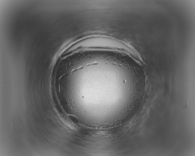 X0000062910151200601271748