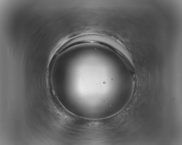 X0000062910152200601271748