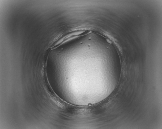 X0000062910153200601271748