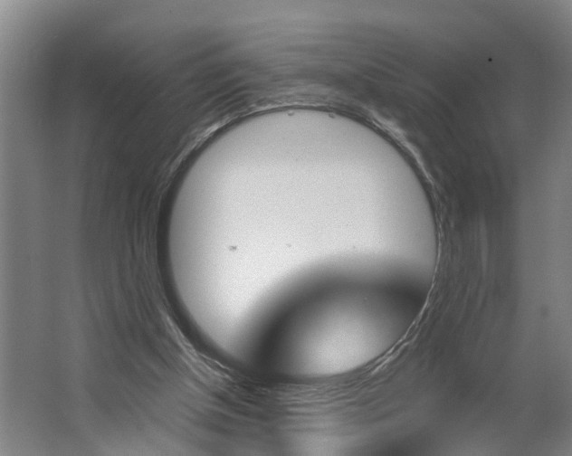 X0000062910154200601271748