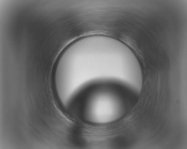 X0000062910156200601271748