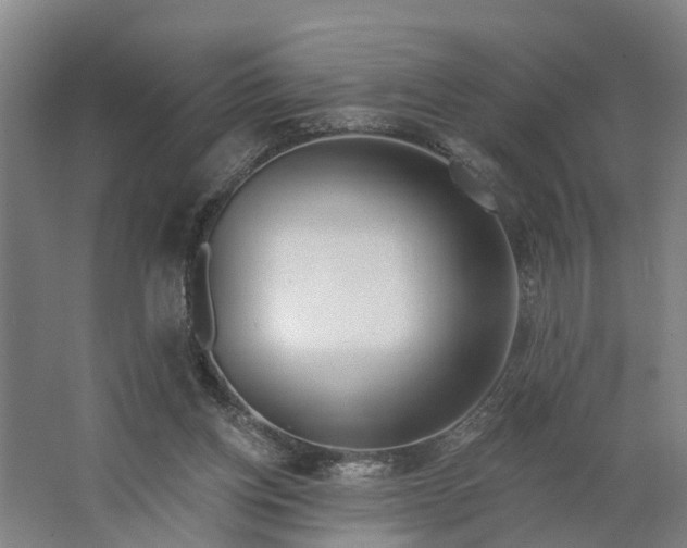 X0000062910158200601271748