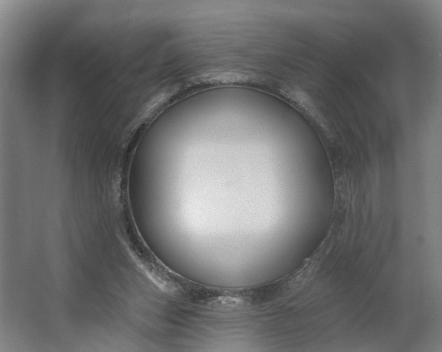 X0000062910159200601271748