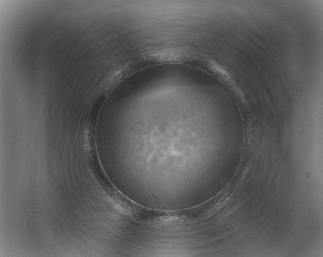 X0000062910161200601271748