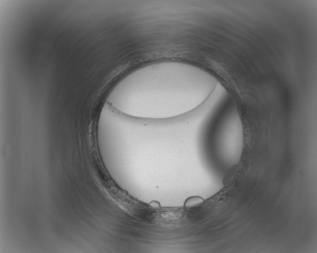 X0000062910163200601271748