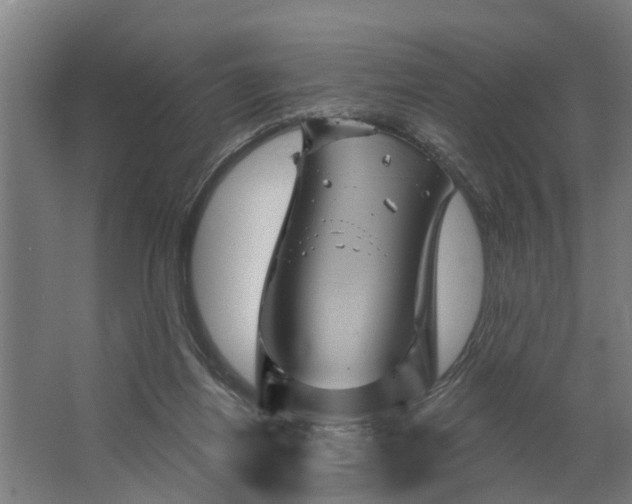 X0000062910164200601271748