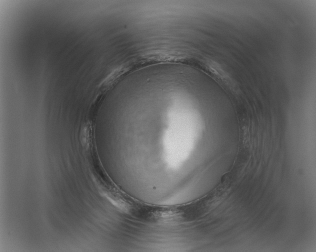 X0000062910165200601271748