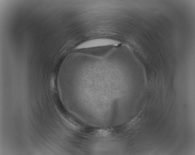 X0000062910166200601271748